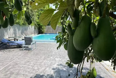 Image de Miami Private Home with Large Pool