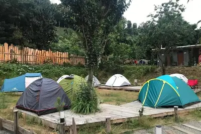 Image de DANZİ CAMPİNG