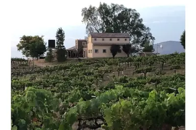 Image de Temecula Wine Country Home on 5 Acre Vineyard