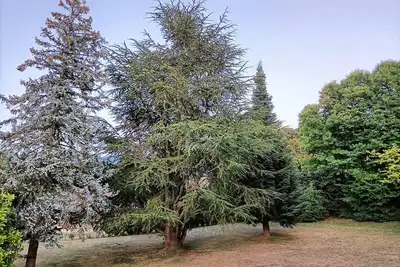 Image de Grand chalet familiale 200 m2 vu lac Leman et Suisse