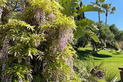 Image de Luxury finca with views, pool, jacuzzi, dream garden, sauna, Ac and Starlink