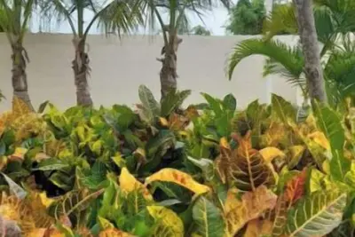 Image de Condo in Serena Punta Cana