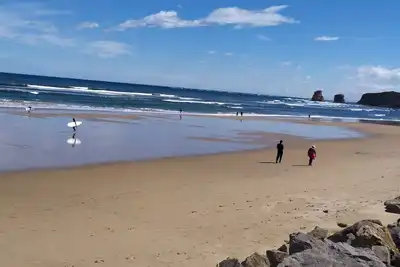 Image de T3 front-line apartment, garden and private parking, 30 m from Hendaye beach