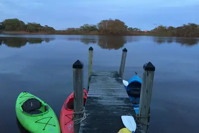 Image de Sea Lea Colony