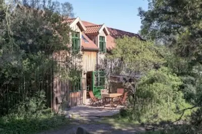 Image de Amber Fw, 60sqm, with colored clay plaster