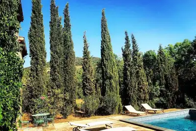 Image de Surrounded  by Swallows - Berlou, Languedoc Roussillon