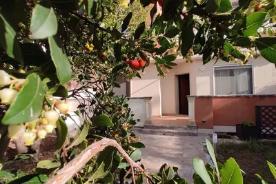 Image de Butterfly cottage