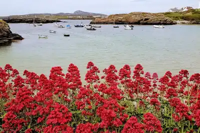 Image de Modern apartment with sea views free Wifi