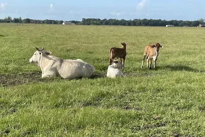 Image de Barndominium on 40 acre farm! Long term rental close<br>To Beaumont & Mid-County