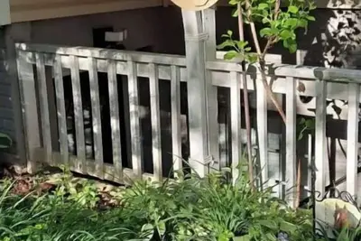 Image de Hidden View