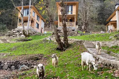 Image de Berona Dağ Evleri