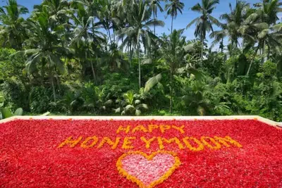 Ub1018-1 Bedroom Forest View in Ubud