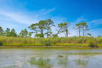 Image de Marsh Point | Marsh Views + Shared Dock, Screened Porch Dining, Cozy Island Townhome
