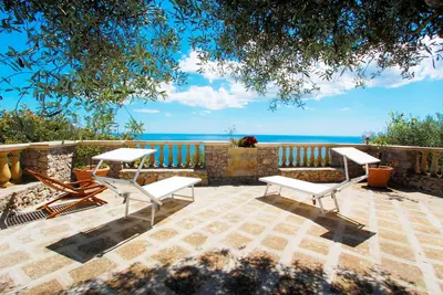 Image de Among the Olives 648