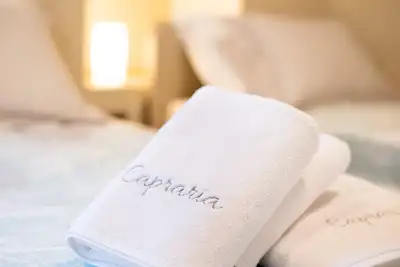 Image de Capraria Apt. in old city center with privat P, App. 111
