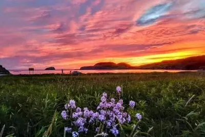 Image de Red Sunset Cottage in Twillingate