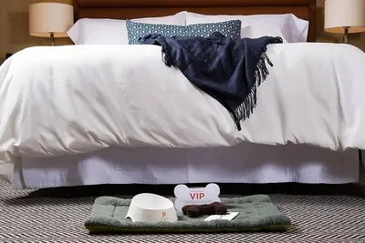 Image de Fido-friendly Room with City Views at Dossier Hotel! Close to Mt. Tabor Park!