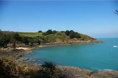 Image de Ajonc, Bord De Mer Et Cote Sauvage