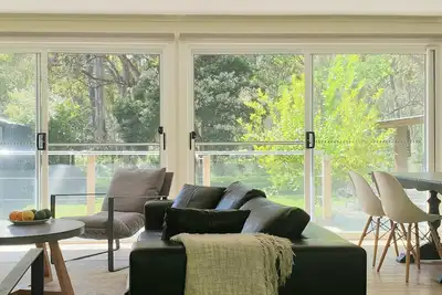 Image de Koalas Songs - Watch Koalas and Roos right from your backyard