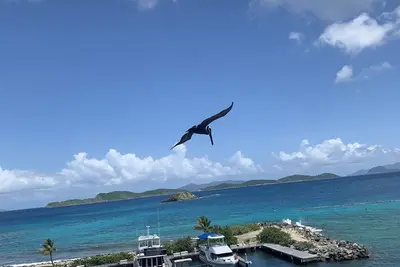 Image de Ocean Front Condo at Sapphire Beach