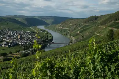Image de Ruhig Gelegenes Ferienhaus mit Sauna Direkt an der Mosel