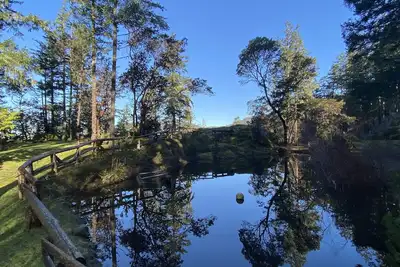 Image de Charlies Cabin near the sea, located on 10 acres of forested land.