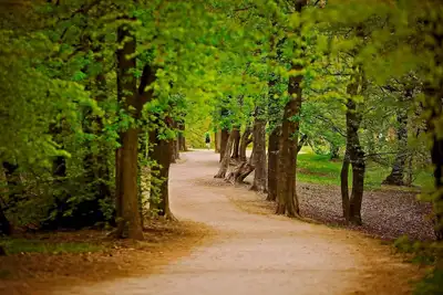 Image de Romantic two bedroom apartment in the hills of Budapest with private parking