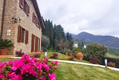 Image de Villa Camelia Tuscany villa avec piscine et vue magnifique entourée d'oliviers