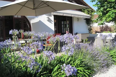 Image de Villa de charme et sa dépendance 10 pers  5 Chambres 3 Sdb, plage à 15mn