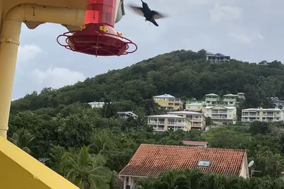 Image de Anse à l'âne appartement