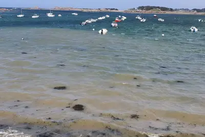 Image de Maison T3 entre terre et mer proche côtes de Granit Rose, des Ajoncs et du Goëlo