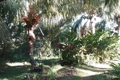 Image de La Roseraie-maison avec parkings privés