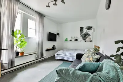 Image de Renovated Studio in the Plateau