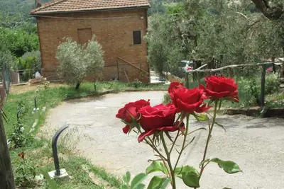 Nice apartment in a quiet area a stone's throw from the historic center