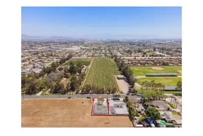 Image de Wayside Vineyard