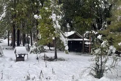 Image de Nestled in the woods, immersed in nature. Cleaning fee included!
