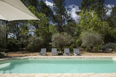 Detached villa with great garden and pool - 915 Rou