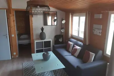 Image de Chalet climatisé avec piscine chauffée et parking dans une pinède calme