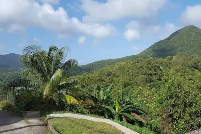 Image de Mountain View Moore Park