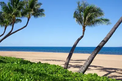 Image de Aloha - Ocean Front 2 Bedroom Suite at Marriott's Maui Ocean Club