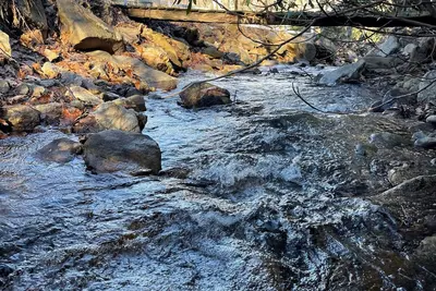 Relaxing Creek Cabin!