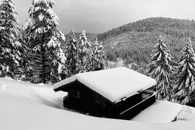 Image de Chalet 4-5 personnes. Confort & Rustique!