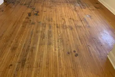 Image de 4 bedrooms lovely cottage right on water