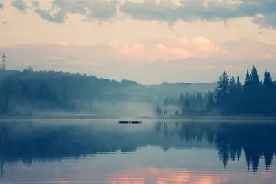 Image de Cozy Suite 15 min away from Mt Tremblant. Pet Friendly