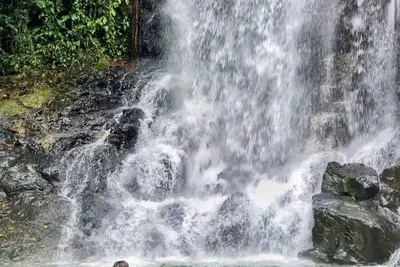 Image de House in the middle of the Morretes Atlantic Forest overlooking Pico do Marimbi