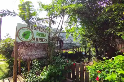 Image de Lodging and tours queen arriera Amazonas Colombia