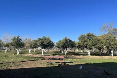 Image de Ranch Home with large patio & backyard