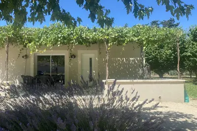 Image de Le Ribbou - Isle-sur-la-Sorgue