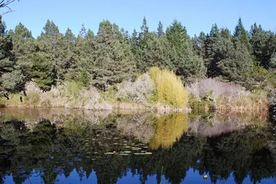 Image de 2 Seperate Cottages on 50 + acre Mendocino Tranquility Meadows Nature Sanctuary
