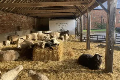 Image de The Hay Loft at Warborne Farm